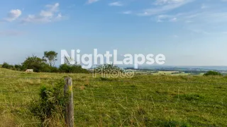 Meadow in the countryside